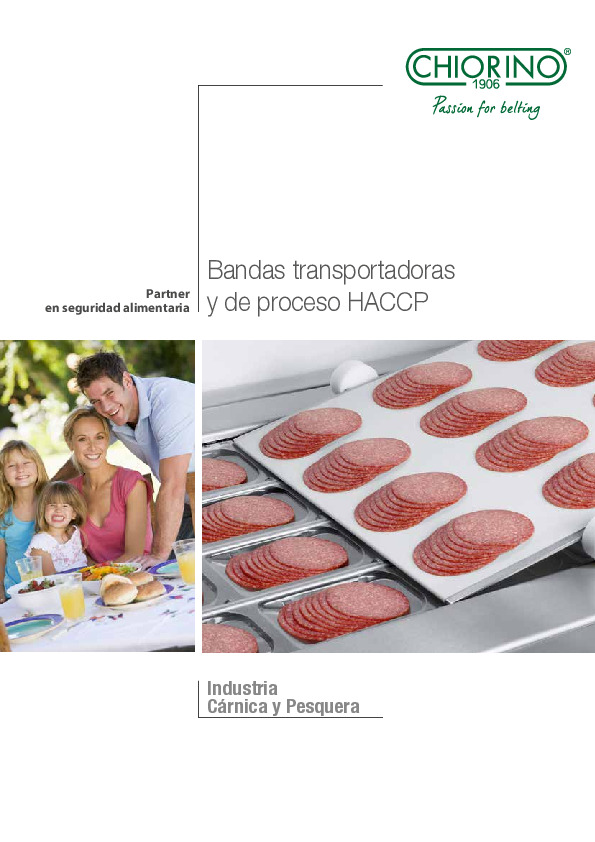 Alimentaria - Industria cárnica y pesquera - Bandas transportadoras y de proceso HACCP