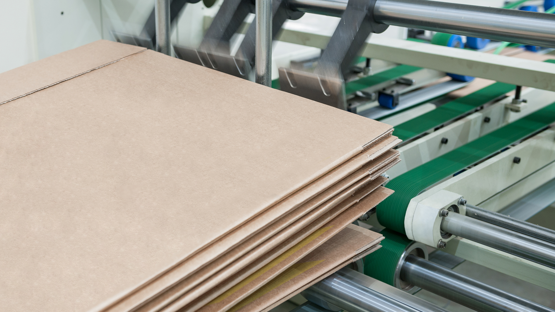 Chiorino conveyor belts paper and printing