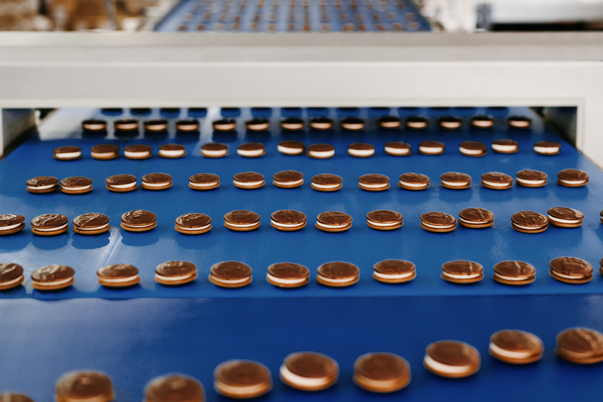 When the Belt becomes the Process: Chiorino solutions for Cooling Tunnels