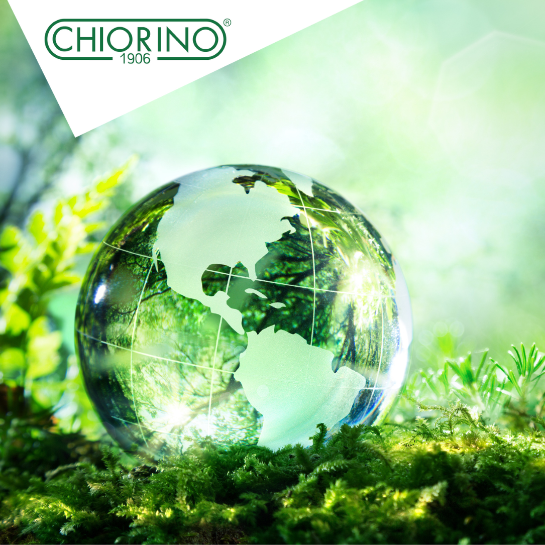 A sustainable belting evolution