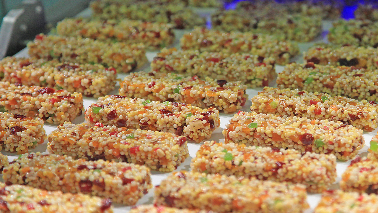 TPO Polyolefin Food Belts